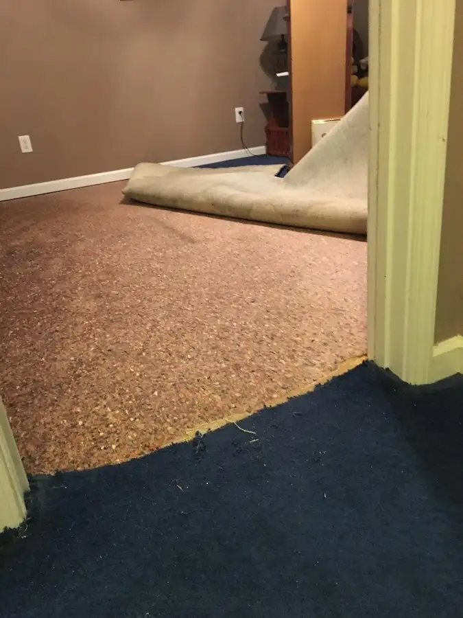 Carpet pad removal revealing water damage during Drying & Dehumidification in Hialeah
